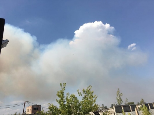 Заповедник - 4.jpg